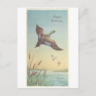 Vintage Happy Birthday Mallard Briefkaart