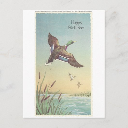 Vintage Happy Birthday Mallard Briefkaart (Voorkant)