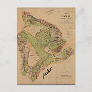Vintage Hawaii Postcard Aloha Briefkaart