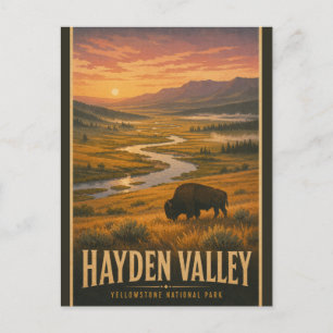 Vintage Hayden Valley Yellowstone National Park Briefkaart
