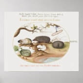 Vintage Hedgehog Poster (Voorkant)