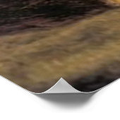 Vintage Henriëtte Ronner Knip's kattenolie schilde Poster (Hoek)