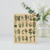 Vintage Herbal Postcard Series - 6 Briefkaart (Staand voorkant)