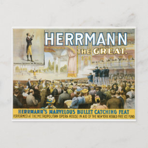 Vintage Herermann het Grote Meren Poster Briefkaart