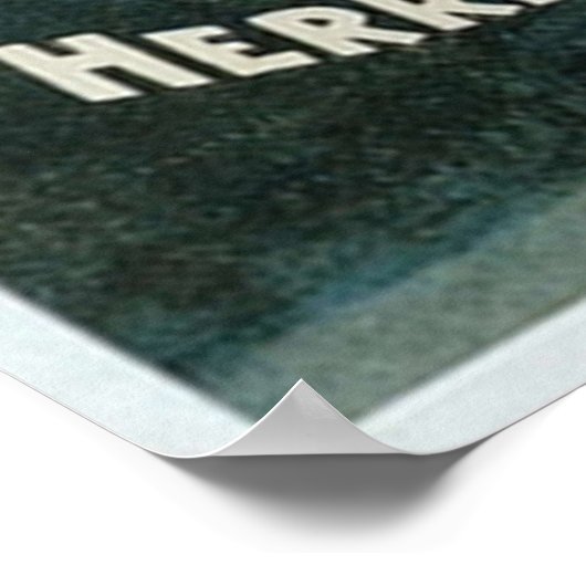 Vintage Herrmann Co Magic Poster (Hoek)