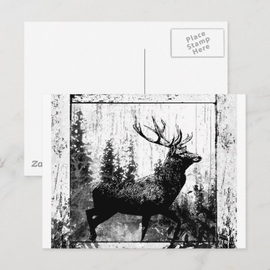 Vintage Hertenbok Zwart Wit Dier Briefkaart (Voorkant / Achterkant)