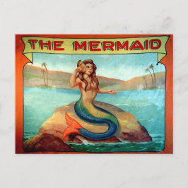 Vintage Het Briefkaart van de Banner van het Show 