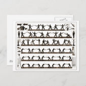 Vintage het Schermen Instructie Briefkaart (Voorkant / Achterkant)