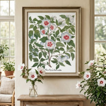 Vintage Hibiscus Bloemen door Basilius Besler