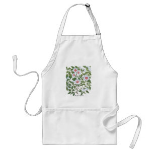 Vintage Hibiscus Bloemen door Basilius Besler Standaard Schort
