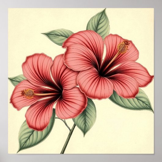 Vintage Hibiscus on Weathered Paper Poster (Voorkant)