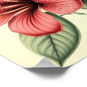 Vintage Hibiscus op Verweerd Papier Poster (Hoek)