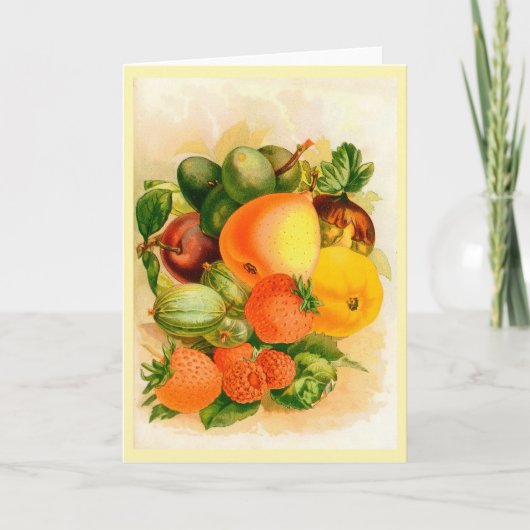 Vintage Hoesje Wenskaart Kaart (Voorkant)