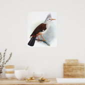 Vintage Hopoe Spreeuw Vogel Poster (Keuken)