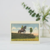 Vintage Horse Jumping Aikin SC Briefkaart (Staand voorkant)