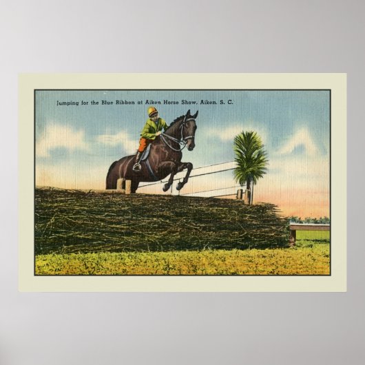Vintage Horse Jumping Aikin SC Poster (Voorkant)