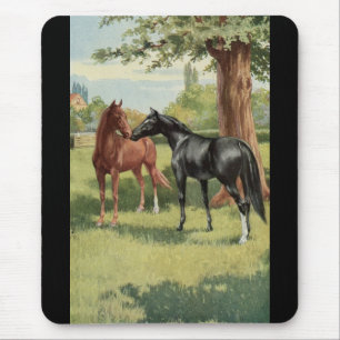 Vintage Horse Mare Stallion Equestrian Muismat