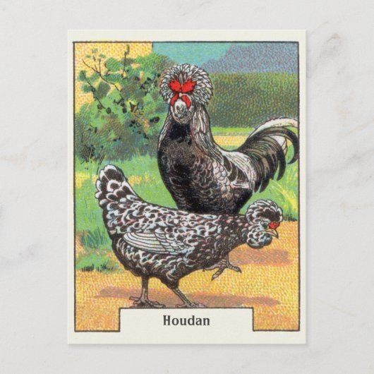 Vintage Houdan Chicken Briefkaart (Voorkant)