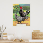 Vintage Houdan Chicken Poster (Keuken)