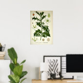 Vintage Hulst Botanische Kunst Poster (Thuiskantoor)