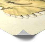 Vintage Human Anatomy Print Skull Internal (Hoek)