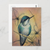 Vintage Hummingbird No. 3 Waterverf Art. Briefkaart (Voorkant / Achterkant)