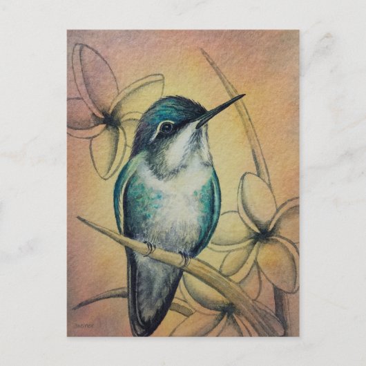 Vintage Hummingbird No. 3 Waterverf Art. Briefkaart (Voorkant)