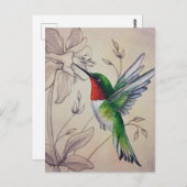 Vintage Hummingbird No. 6 Waterverf Art. Briefkaart (Voorkant / Achterkant)