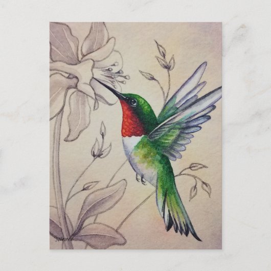Vintage Hummingbird No. 6 Waterverf Art. Briefkaart (Voorkant)