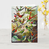 Vintage Hummingvogels door Ernst Haeckel Kaart (Gele Bloem)