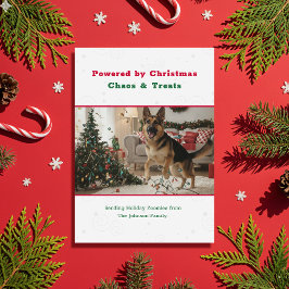 Vintage Humorous Funny Christmas Dog Pet Photo Feestdagenkaart