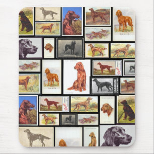 Vintage Ierse Setter Sigarettenkaartjes Muismat