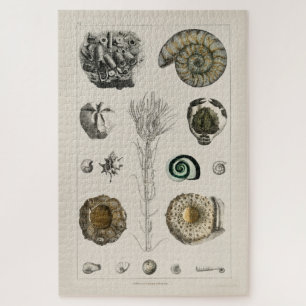 VINTAGE ILLUSTRATIE FOSSILS CHART JIGSAW PUZZLE LEGPUZZEL
