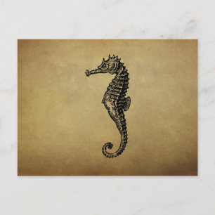 Vintage Illustratie Seahorse Briefkaart