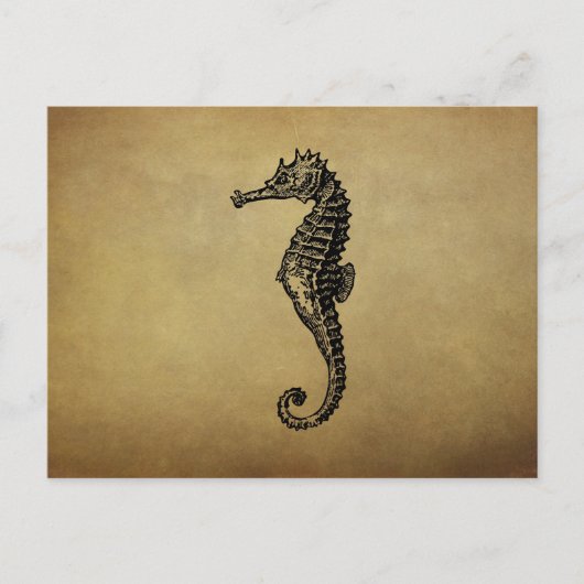 Vintage Illustratie Seahorse Briefkaart (Voorkant)