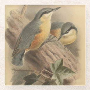 Vintage illustratie van boomklever glazen onderzetter