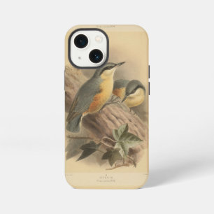 Vintage illustratie van boomklever iPhone 13 mini hoesje