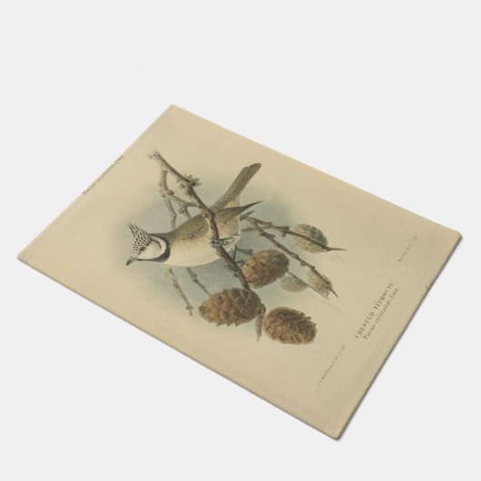 Vintage illustratie van de kuifmees deurmat (Schuin)