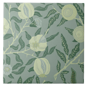 Vintage illustratie van fruit of granaatappel tegeltje