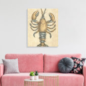 Vintage Illustratie van Kreeft: Kustdamast Canvas Afdruk (Insitu (Woonkamer))