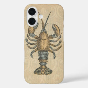 Vintage Illustratie van Kreeft: Kustdamast iPhone 16 Hoesje