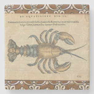 Vintage Illustratie van Kreeft: Kustdamast Stenen Onderzetter