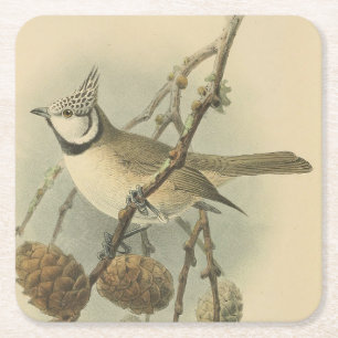 Vintage illustratie van kuifmees kartonnen onderzetters