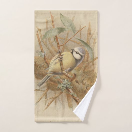 Vintage illustratie van pimpelmees handdoek (Handdoek)