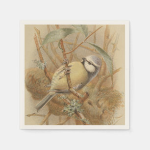 Vintage illustratie van pimpelmees servet