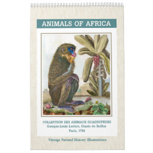 Vintage illustraties van Afrikaanse dieren 2027 Kalender