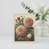 Vintage illustration of a Dahlia Briefkaart (Staand voorkant)