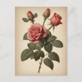 Vintage Illustration of a Rose Briefkaart (Voorkant)
