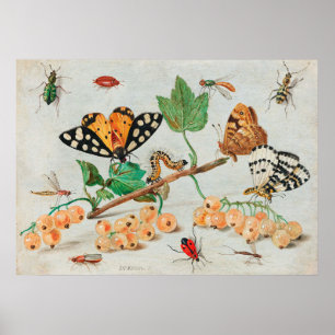 Vintage illustration of butterflies on berries poster