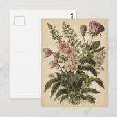Vintage Illustration of Wildflowers  Briefkaart (Voorkant / Achterkant)